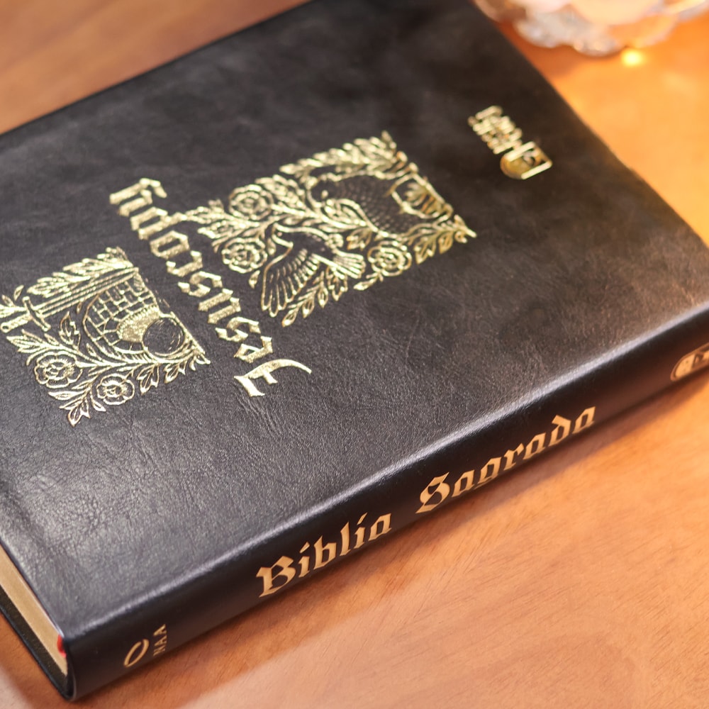 Bíblia Sagrada Jesus Copy | NAA | Espaço Para Anotação | Capa Luxo Preta