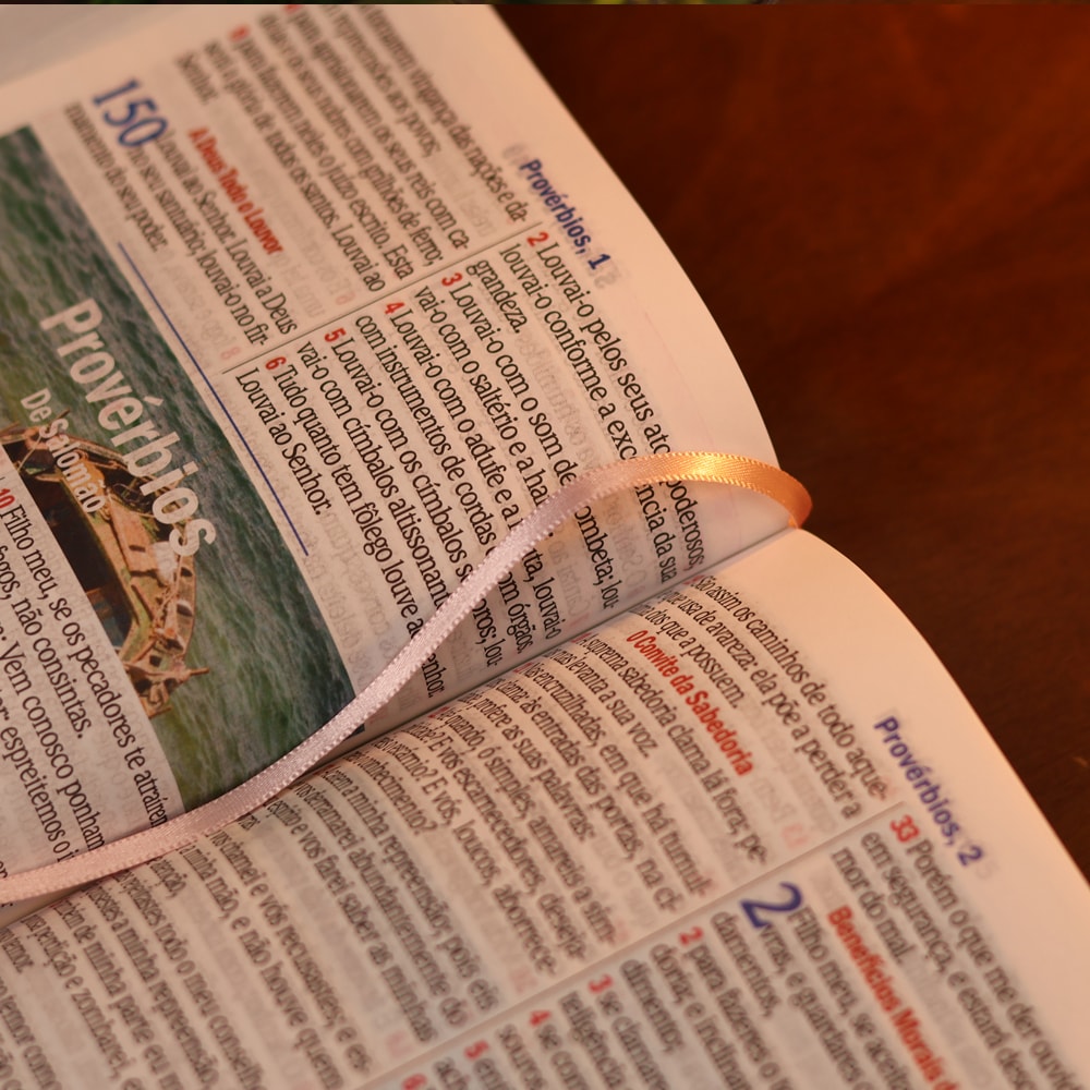 Bíblia Sagrada Floral Margarida | ARC | Hipergigante | Harpa Avivada e Corinhos | Capa Luxo Rosa