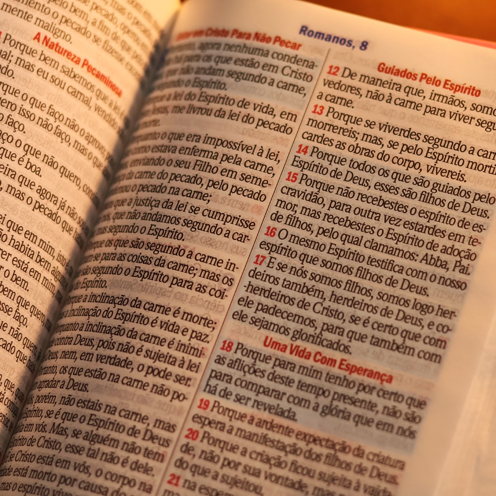 Bíblia Sagrada Floral Margarida | ARC | Hipergigante | Harpa Avivada e Corinhos | Capa Luxo Vermelho