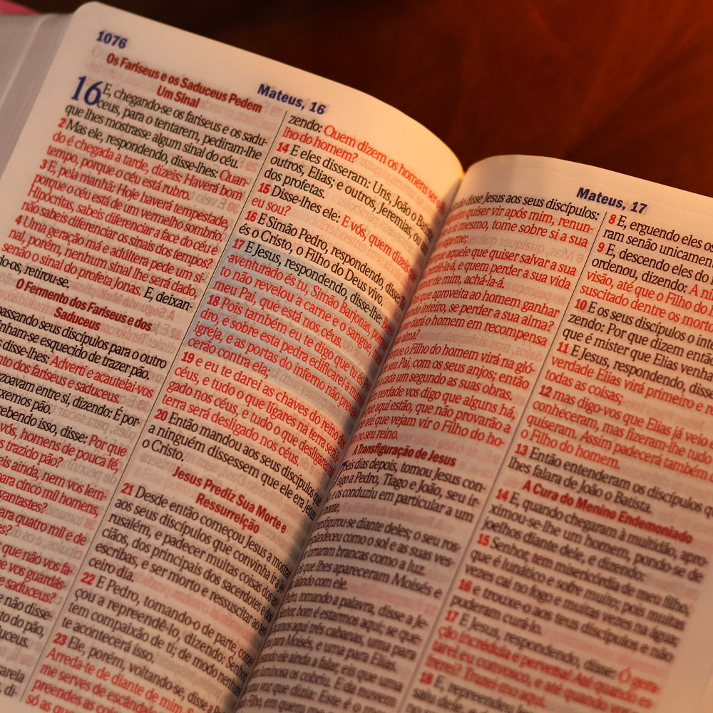 Bíblia Sagrada Floral Margarida | ARC | Hipergigante | Harpa Avivada e Corinhos | Capa Luxo Vermelho
