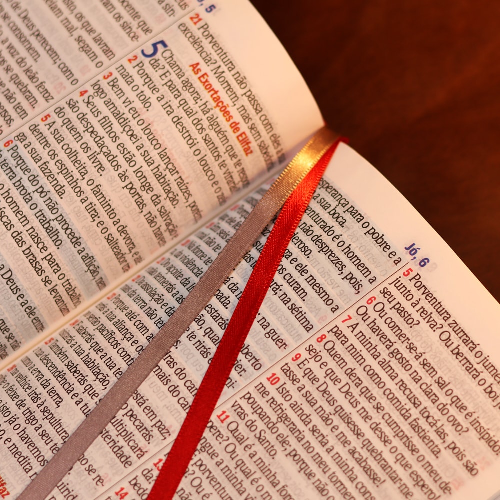 Bíblia Sagrada Floral Margarida | ARC | Hipergigante | Harpa Avivada e Corinhos | Capa Luxo Vermelho