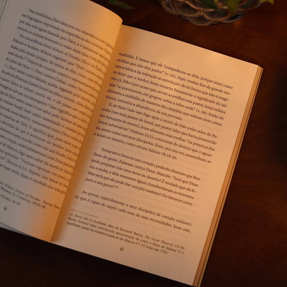 O Senhor do Salmo 23 | David Gibson