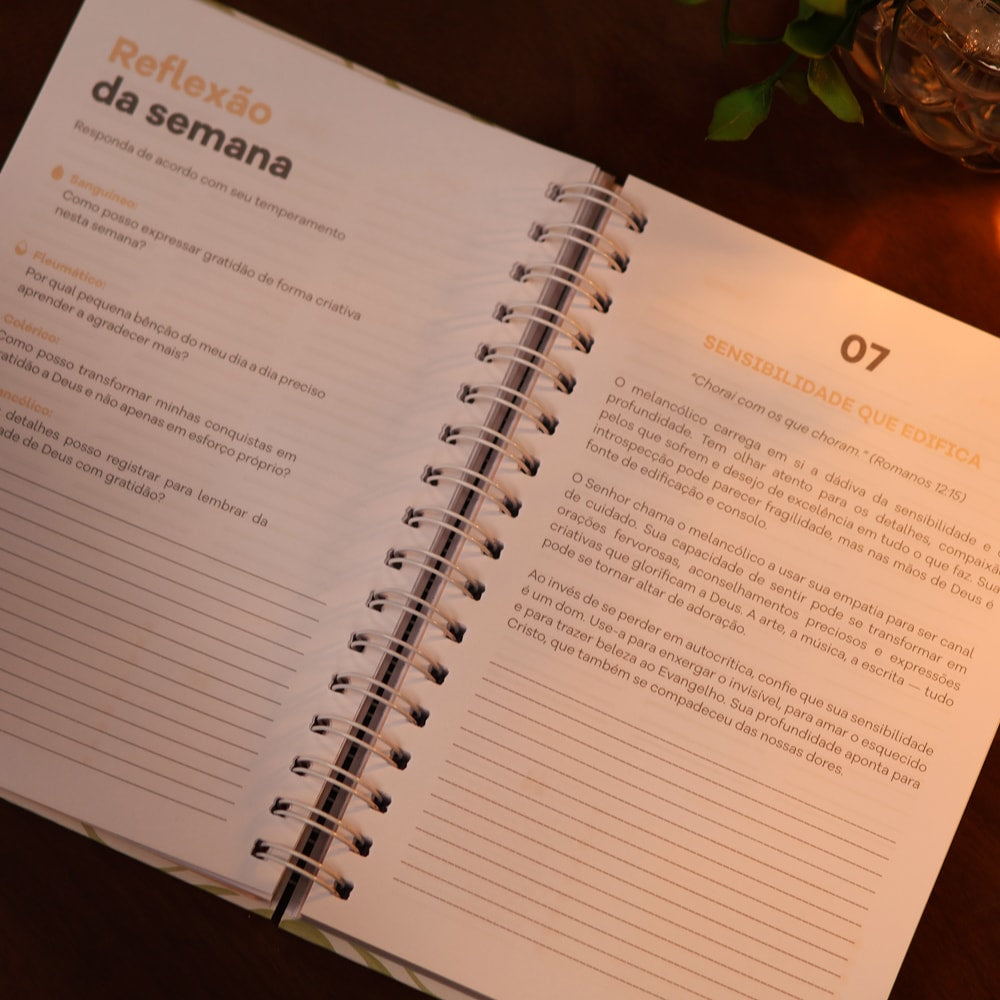 Planner Devocional Temperamentos | Laços