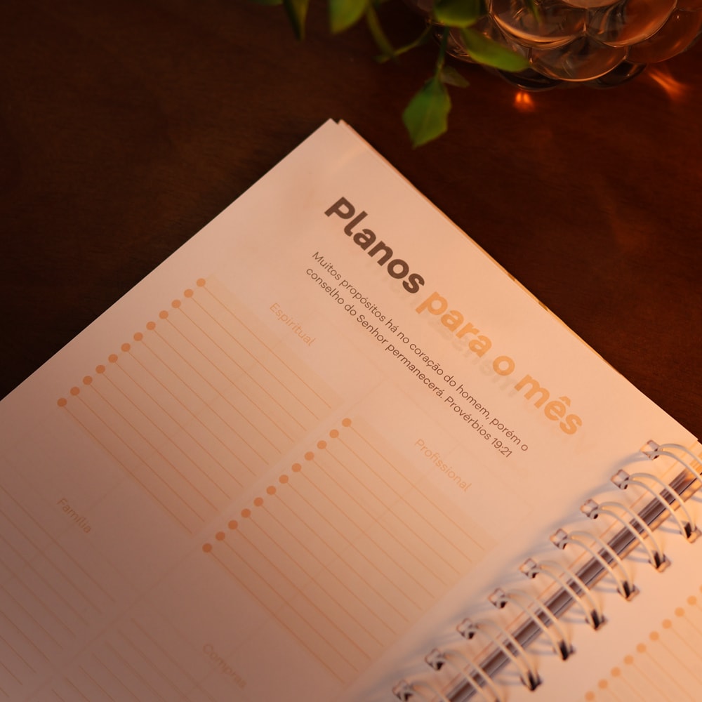 Planner Devocional Temperamentos | Laços