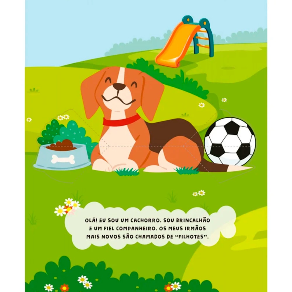 Conhecendo Os Pets | Pop - Up