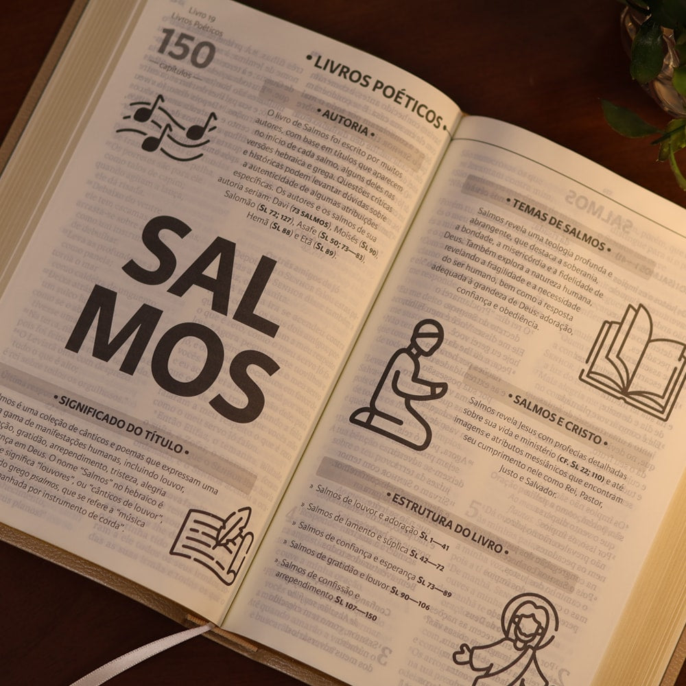 Bíblia Sagrada | NAA | Letra Gigante | Bege