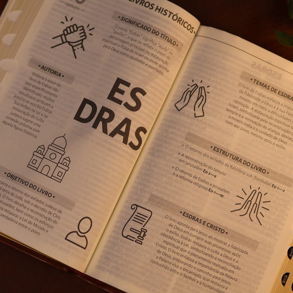 Bíblia Sagrada | NAA | Letra Gigante | Marrom Com Índice