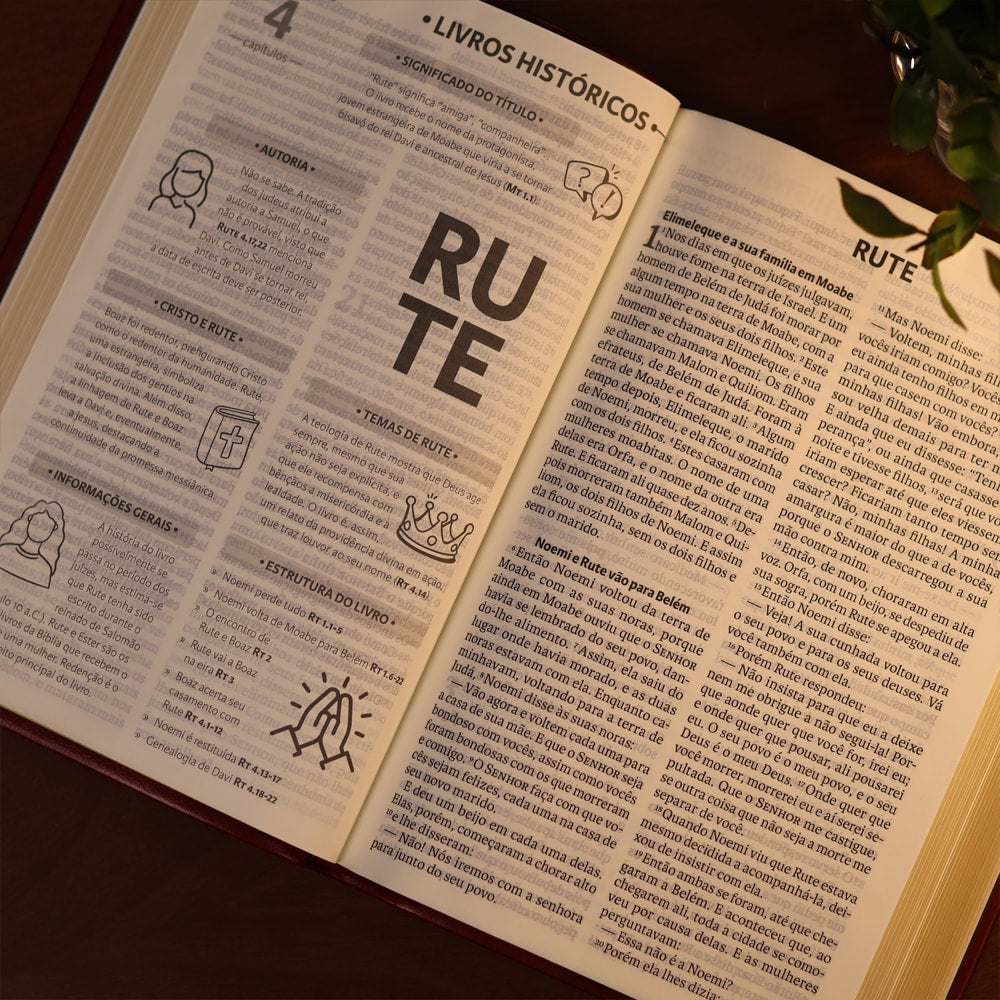 Bíblia Sagrada | NAA | Letra Gigante | Vinho