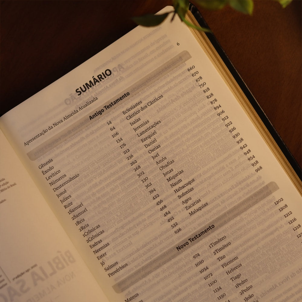 Bíblia Sagrada | NAA | Letra Grande | Preta
