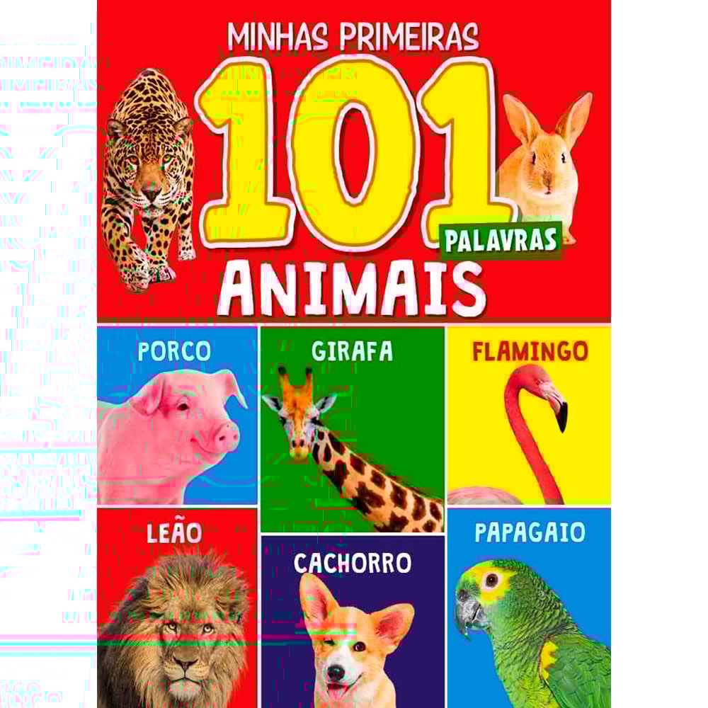 Coleção Minhas Primeiras 101 Palavras | Box com 3 Livrinhos