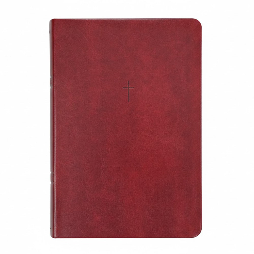 Bíblia Sagrada | NAA | Letra Grande | Vinho