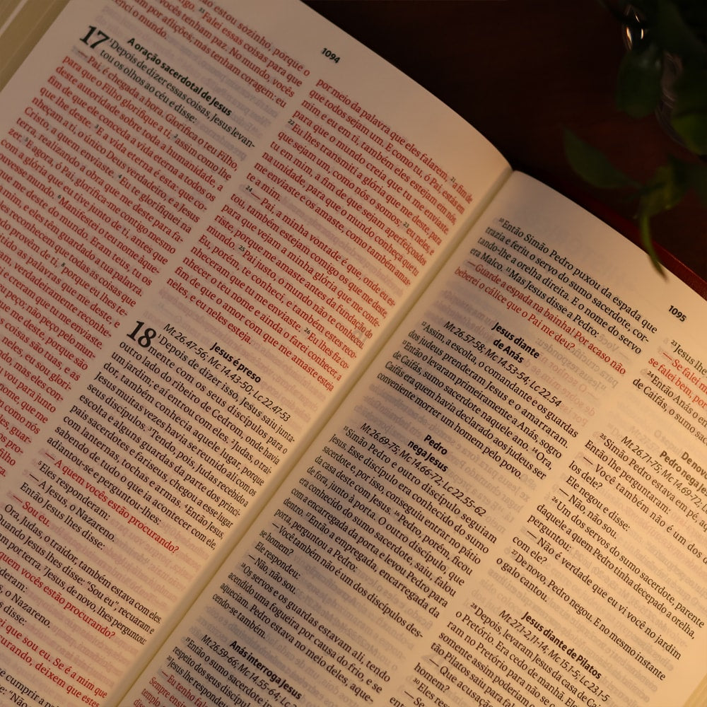 Bíblia Sagrada | NAA | Letra Grande | Vinho