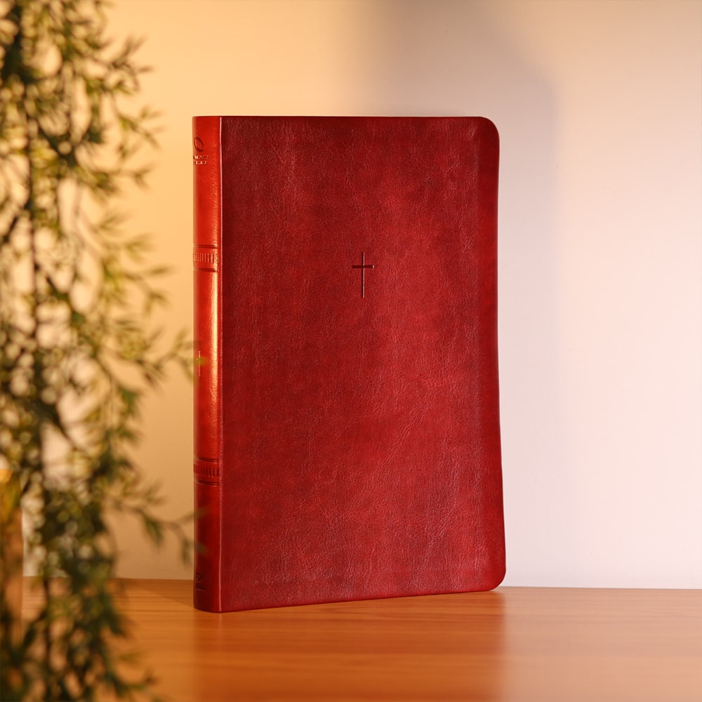 Bíblia Sagrada | NAA | Letra Grande | Vinho
