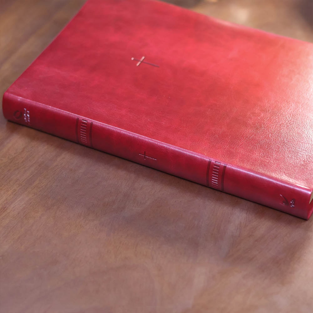 Bíblia Sagrada | NAA | Letra Grande | Vinho