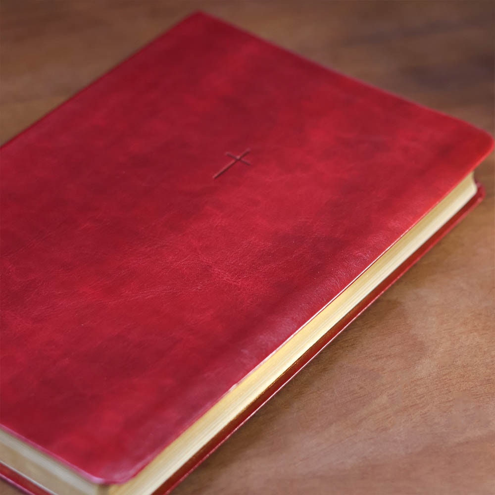 Bíblia Sagrada | NAA | Letra Grande | Vinho