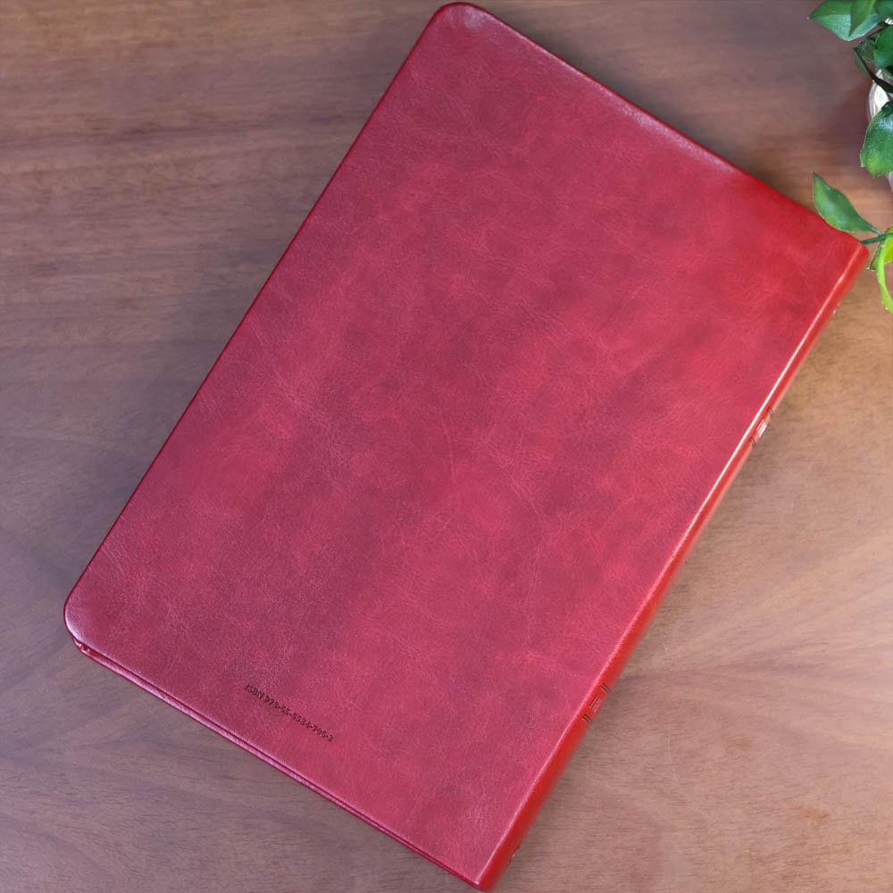 Bíblia Sagrada | NAA | Letra Grande | Vinho