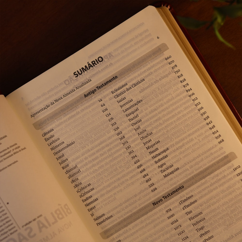 Bíblia Sagrada | NAA | Letra Grande | Vinho