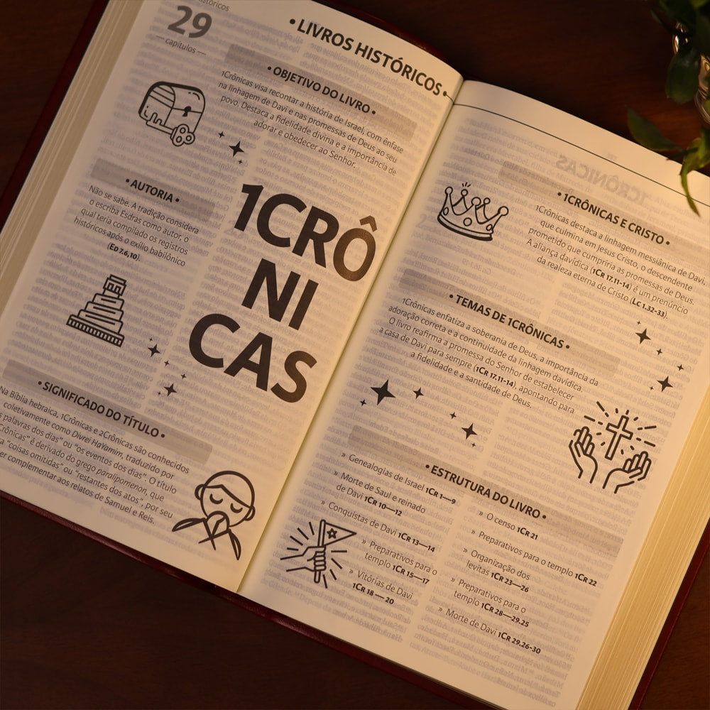 Bíblia Sagrada | NAA | Letra Grande | Vinho