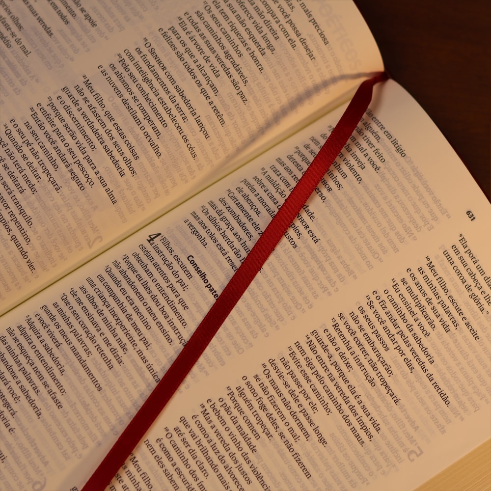 Bíblia Sagrada | NAA | Letra Grande | Vinho