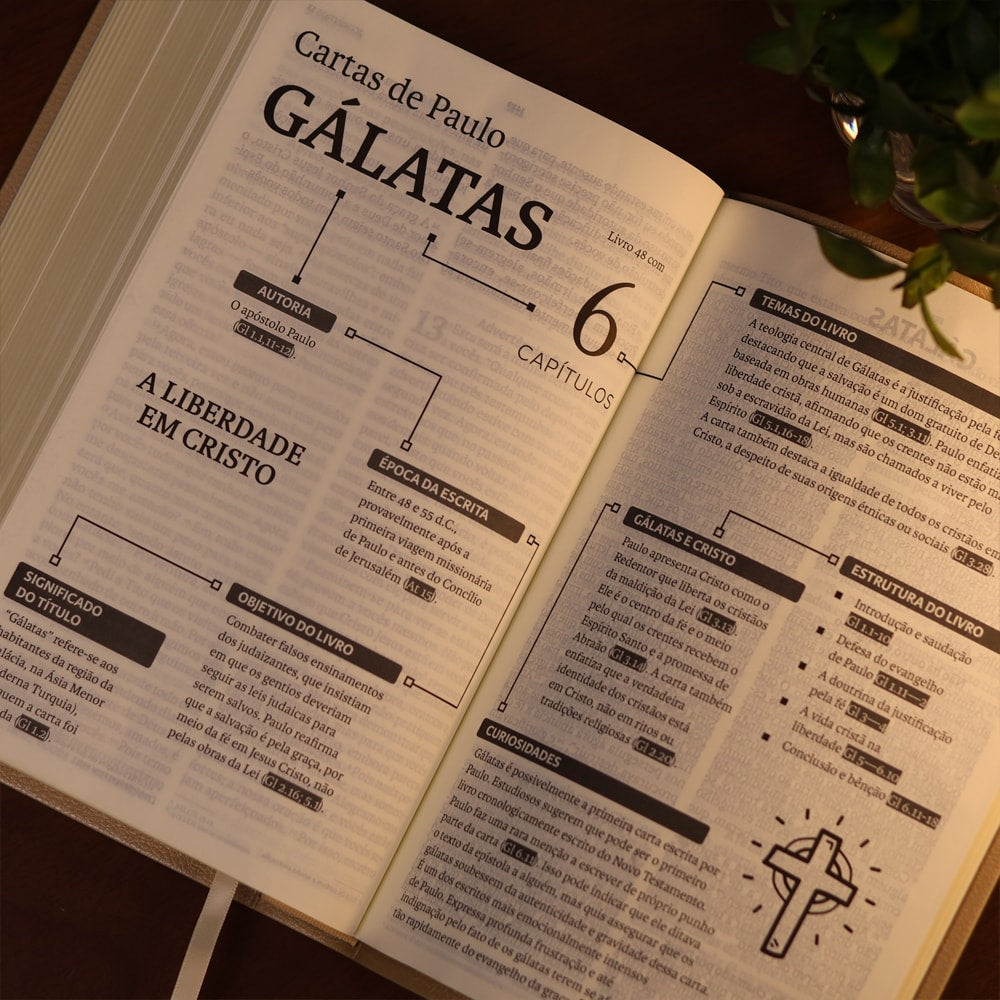 Bíblia Sagrada | NVI | Letra Gigante | Bege