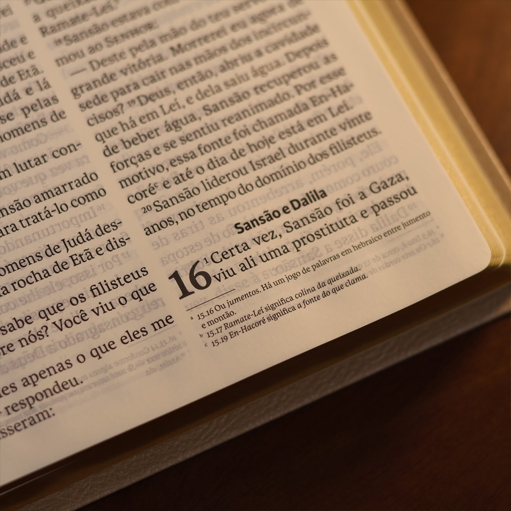 Bíblia Sagrada | NVI | Letra Gigante | Bege