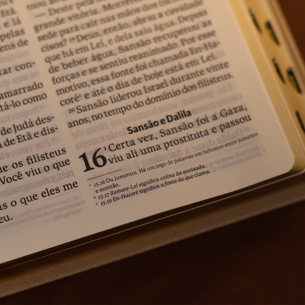 Bíblia Sagrada | NVI | Letra Gigante | Bege Com Índice