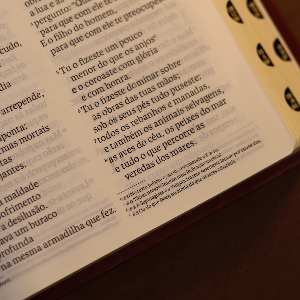 Bíblia Sagrada | NVI | Letra Gigante | Vinho Com Índice