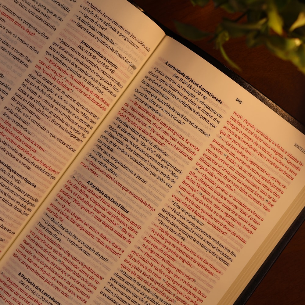 Bíblia Sagrada | NVI | Letra Grande | Preta