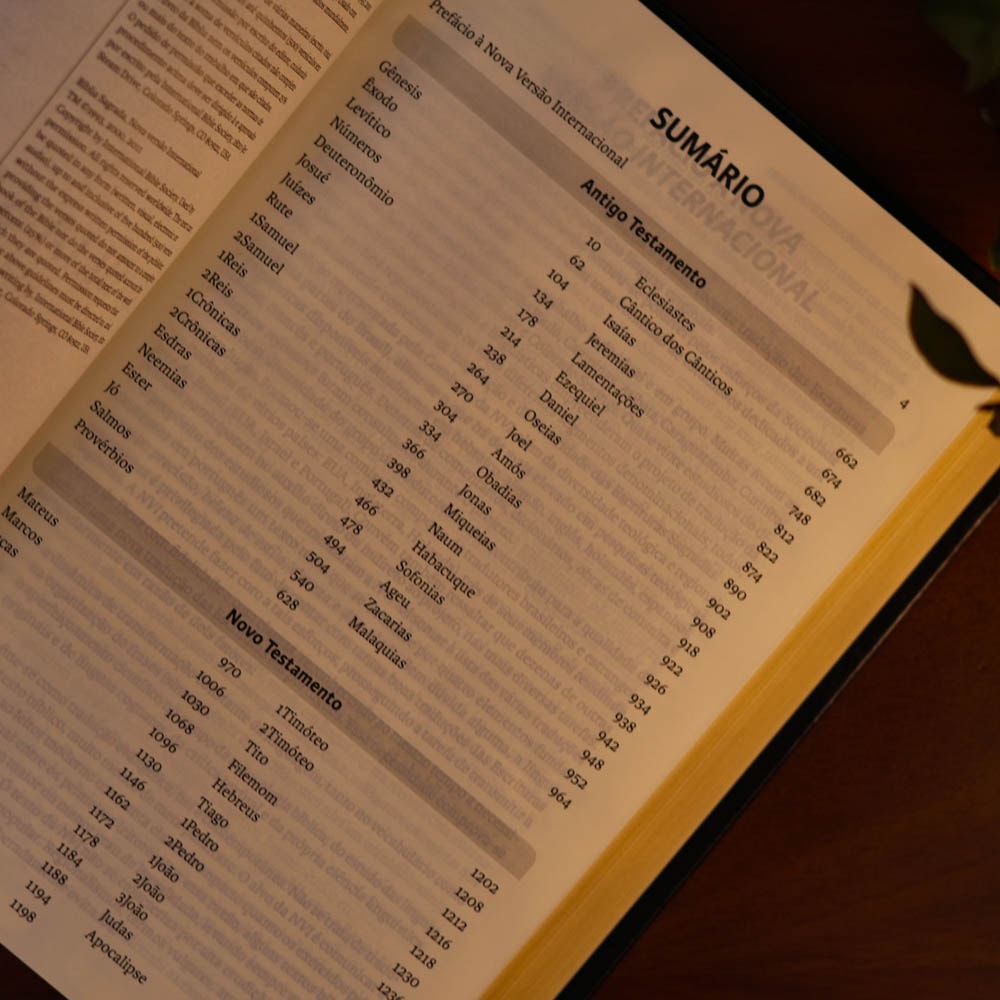 Bíblia Sagrada | NVI | Letra Grande | Preta