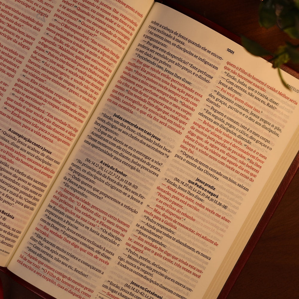 Bíblia Sagrada | NVI | Letra Grande | Vinho