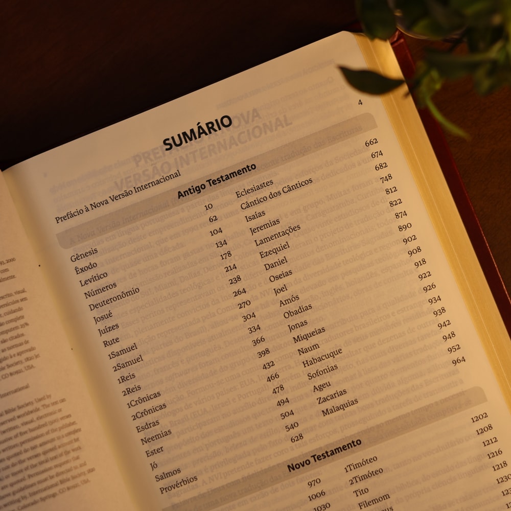 Bíblia Sagrada | NVI | Letra Grande | Vinho