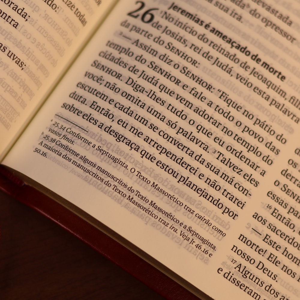 Bíblia Sagrada | NVI | Letra Grande | Vinho