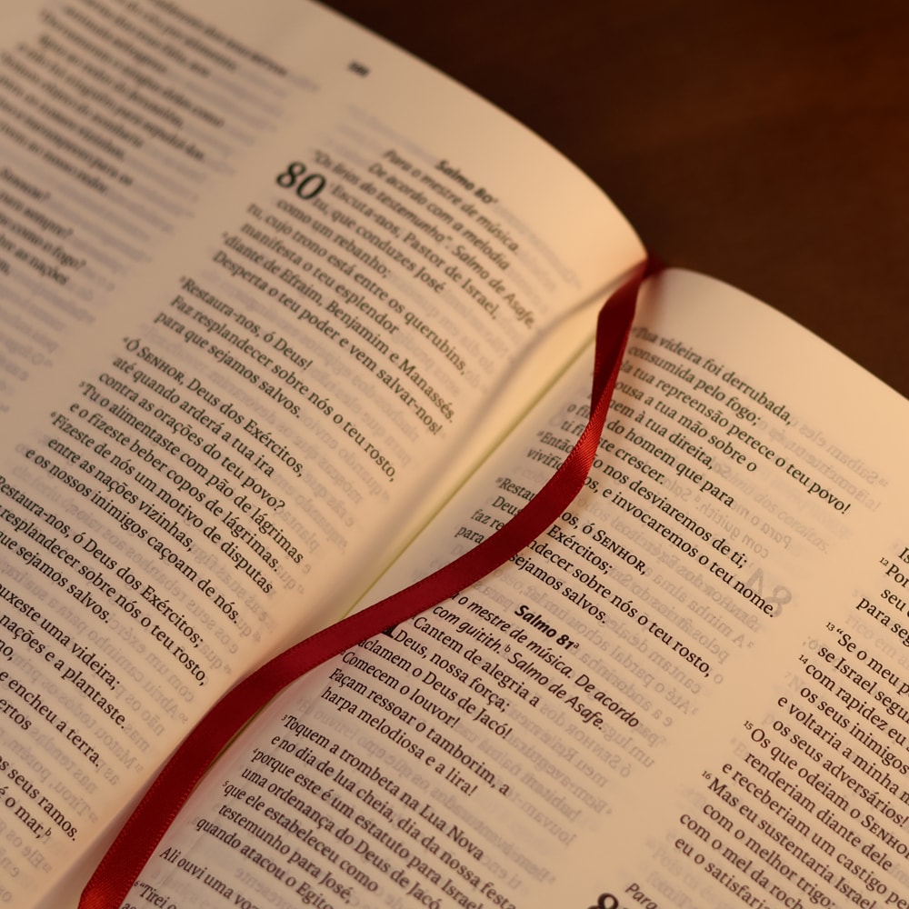 Bíblia Sagrada | NVI | Letra Grande | Vinho