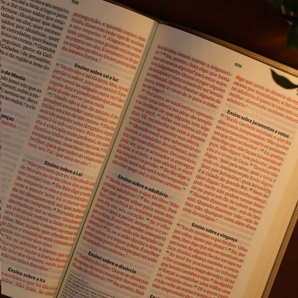 Bíblia Sagrada | NVT | Letra Gigante | Bege