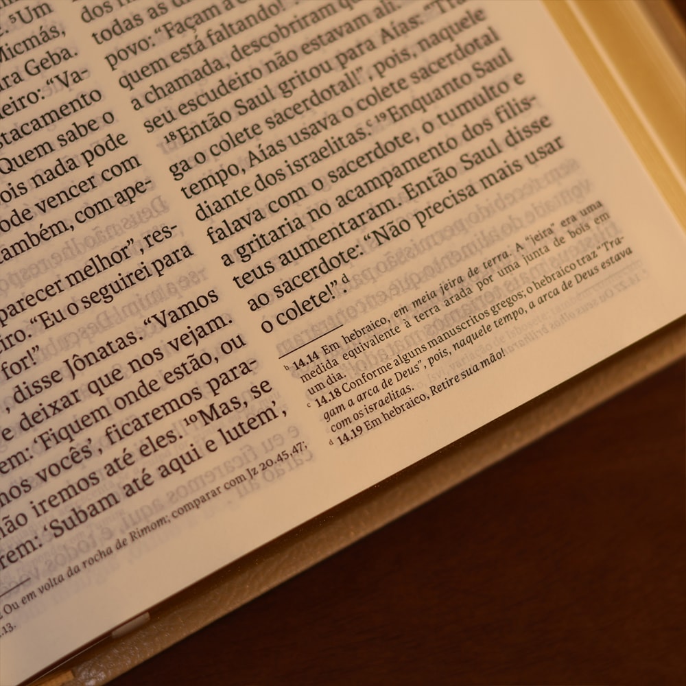 Bíblia Sagrada | NVT | Letra Gigante | Bege