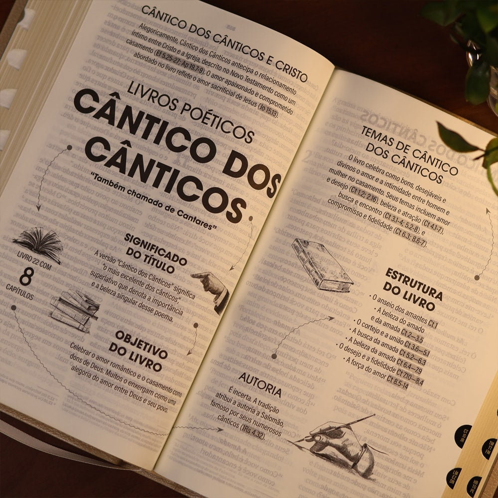 Bíblia Sagrada | NVT | Letra Gigante | Bege Com Índice