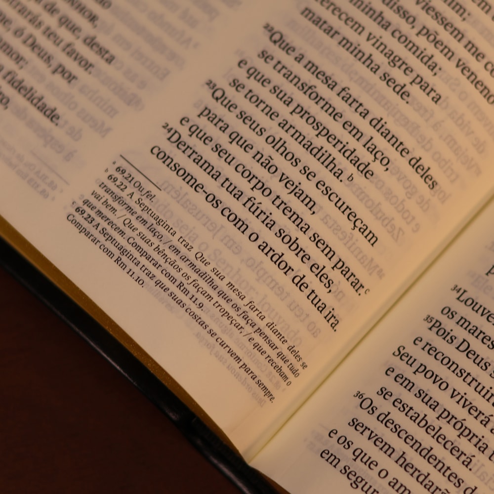 Bíblia Sagrada | NVT | Letra Gigante | Preta Com Índice