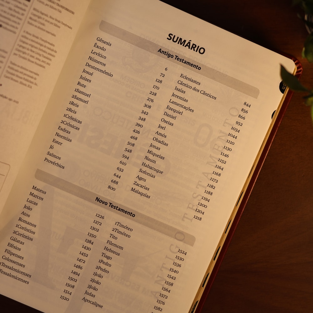 Bíblia Sagrada | NVT | Letra Gigante | Vinho Com Índice