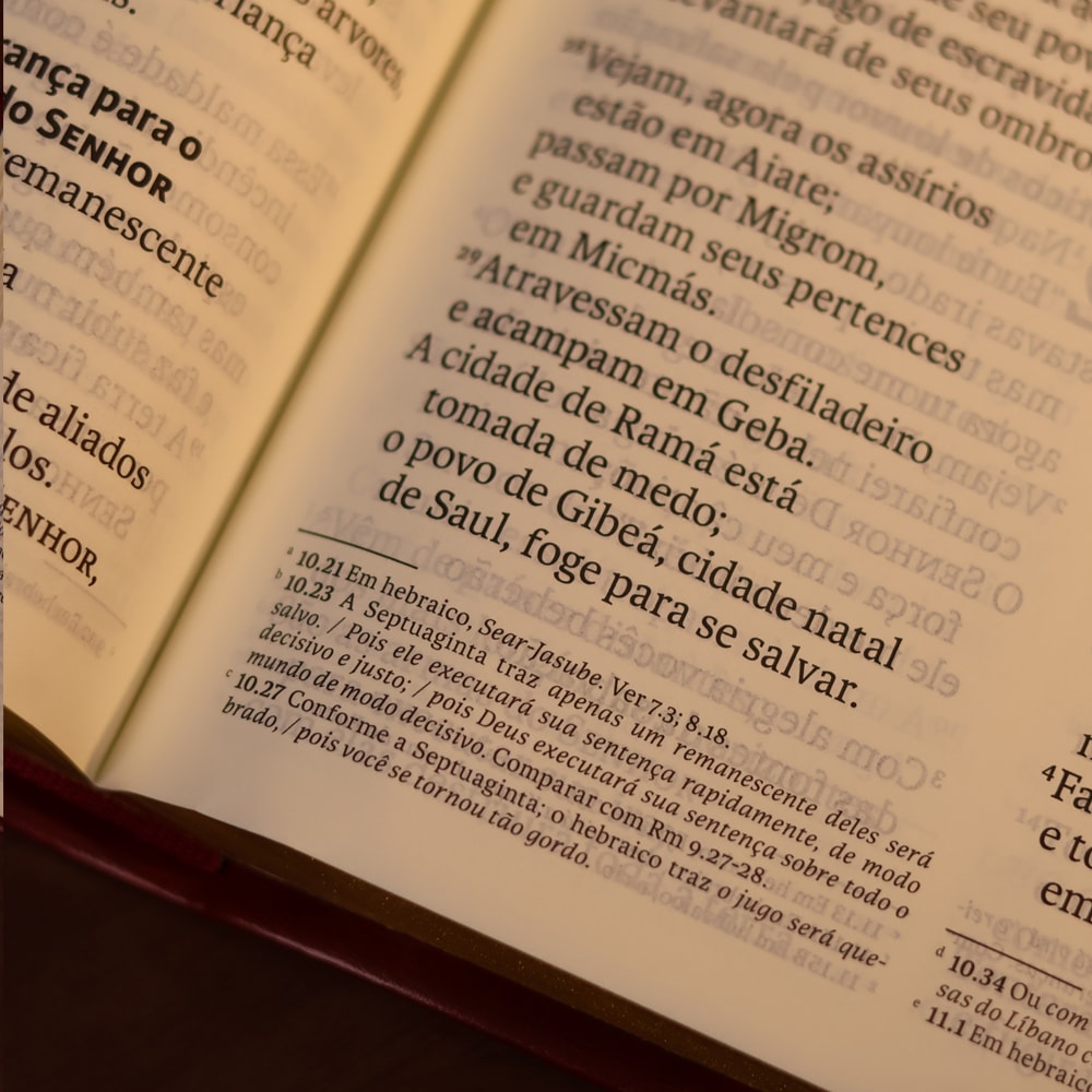 Bíblia Sagrada | NVT | Letra Gigante | Vinho Com Índice