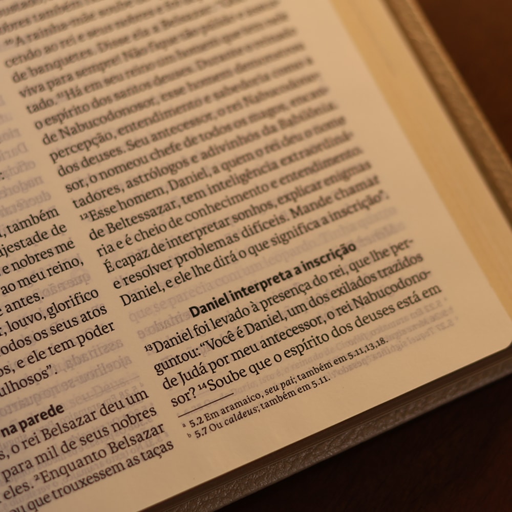 Bíblia Sagrada | NVT | Letra Grande | Bege