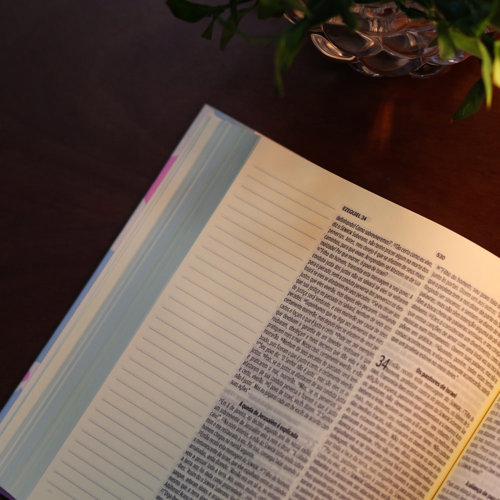 Bíblia Sagrada Me Ama | NVT | Leia e Anote | Capa Dura