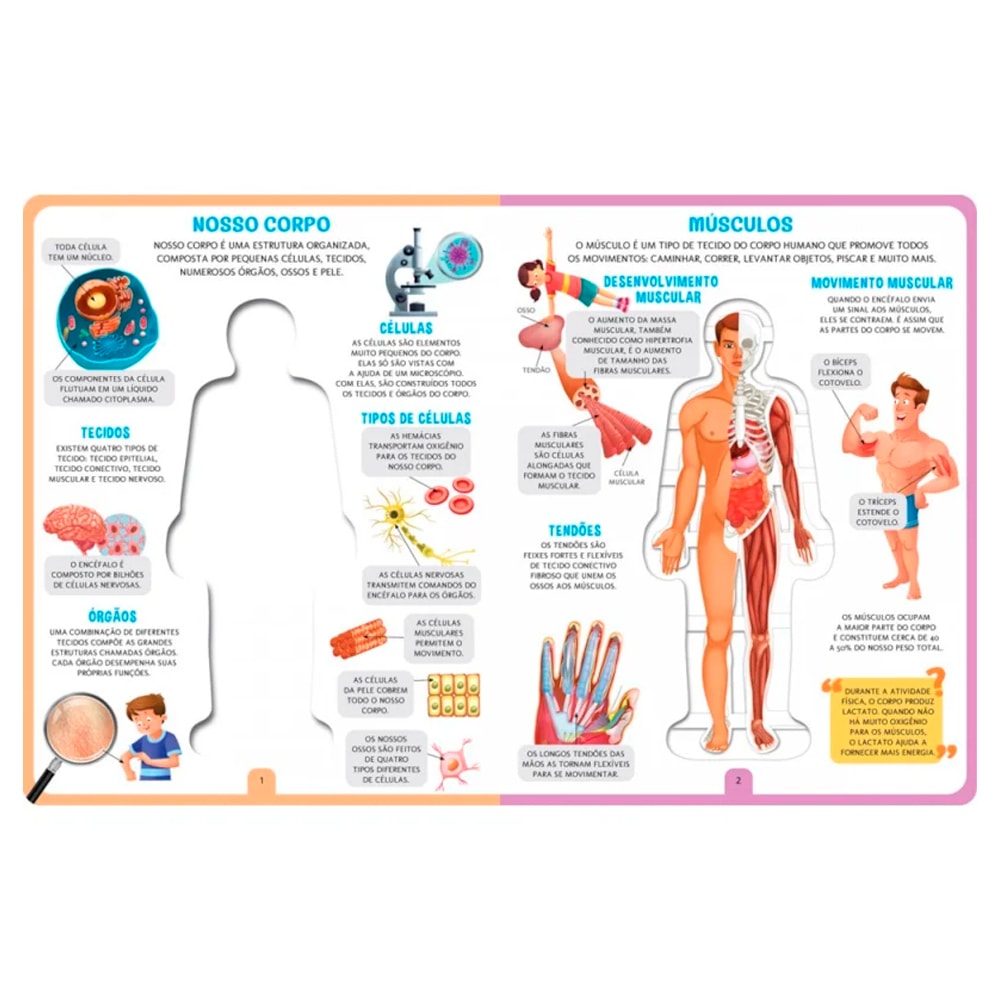 Livro Cartonado Como Funciona o Meu Corpo?