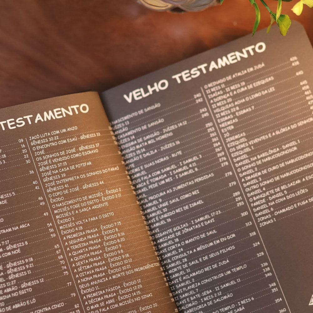 Bíblia Deus em Ação Em Quadrinhos | Faraó | Capa Dura