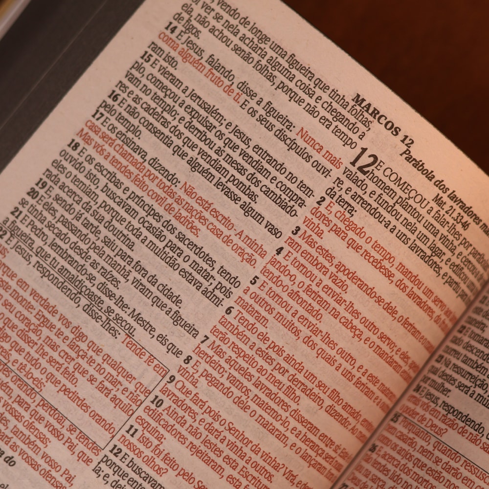 Bíblia Sagrada The Black Lion | ARC | Harpa Pentecostal | Letra Gigante | Capa Dura Panorâmica