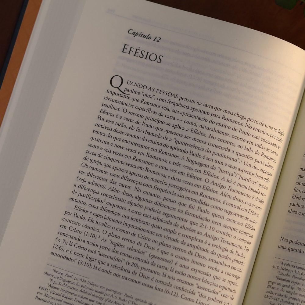 Uma Teologia de Paulo e Suas Cartas | Douglas J. Moo