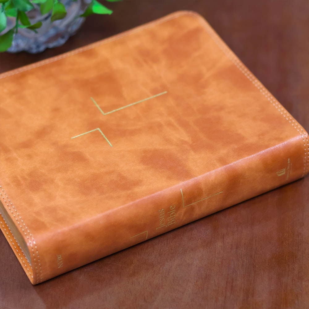 Jesus Bible | NVI | Espaço Para Anotações | Leitura Perfeita | Couro-Soft Marrom