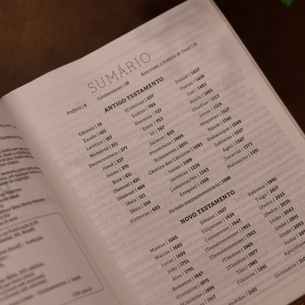 Jesus Bible | NVI | Espaço Para Anotações | Leitura Perfeita | Couro-Soft Marrom