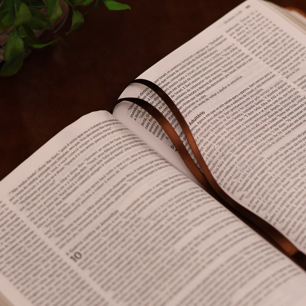 Jesus Bible | NVI | Espaço Para Anotações | Leitura Perfeita | Couro-Soft Marrom