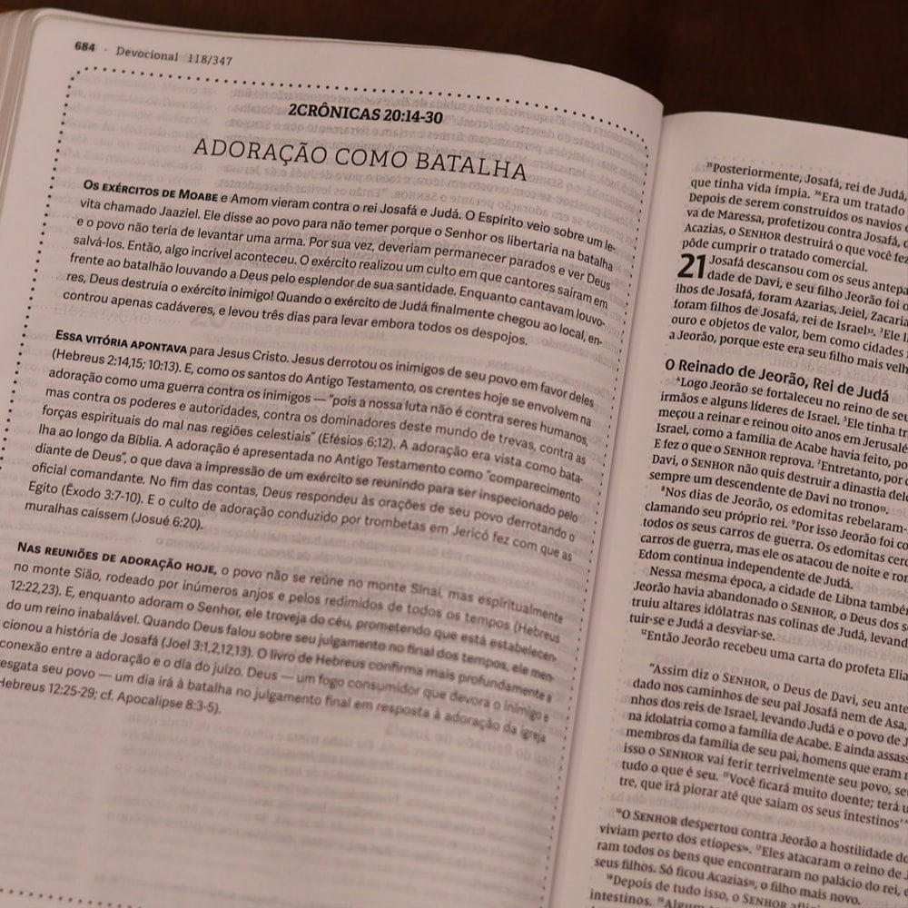 Jesus Bible | NVI | Espaço Para Anotações | Leitura Perfeita | Couro-Soft Multicor