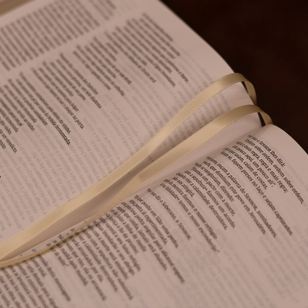 Jesus Bible | NVI | Espaço Para Anotações | Leitura Perfeita | Couro-Soft Multicor